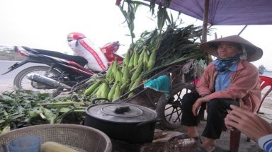 Kiếm cả triệu đồng mỗi ngày nhờ bán ngô trên quốc lộ