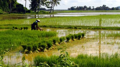 Quản lý đất đai - kinh nghiệm từ Nhật Bản