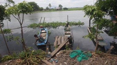 Người dân mong muốn có thêm những cây cầu bắc qua sông Vàm Cỏ Đông
