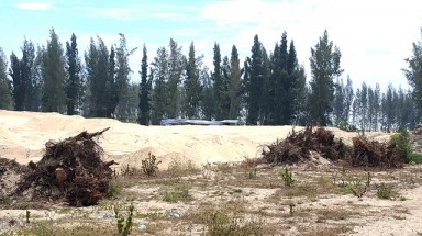  Phú Yên cho phá rừng phòng hộ làm dự án New City sai luật