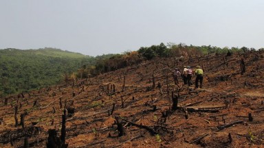 Bắc Giang: "Không để xảy ra phá rừng tự nhiên để chuyển sang mục đích khác"