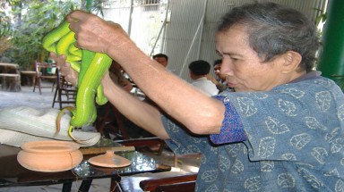 Rắn lục… ngoáy tai