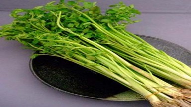 7 rễ rau chống và đuổi bệnh trong ngày lạnh