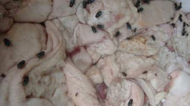 Công nghệ “phù phép” thịt thối cung cấp cho người dùng