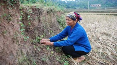 Bí mật về bài thuốc chữa bệnh mở khóa đầu