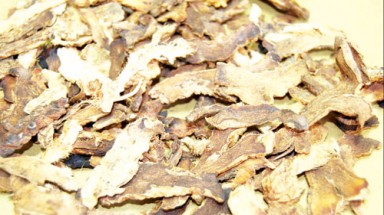 Bài thuốc hay chữa bệnh gút