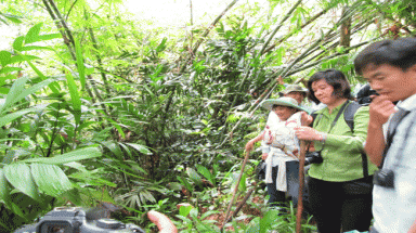 Ngồi bàn giấy ủng hộ thủy điện Đồng Nai 6, 6A