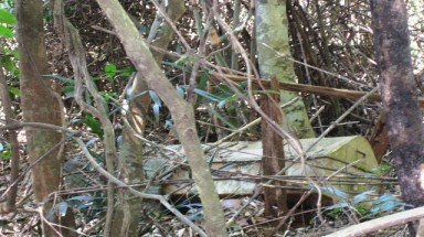  Thăm 'rừng ma' xem hàng loạt quan tài treo cao