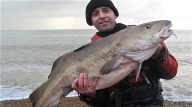  Người đàn ông may mắn câu được cá tuyết “khủng”