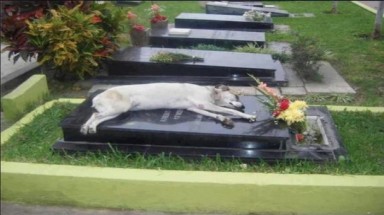  Tổng hợp những bức ảnh lan truyền nhiều nhất trên Facebook 2012