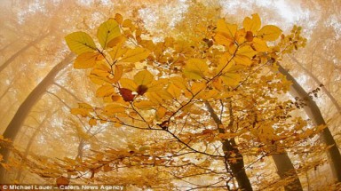  Chiêm ngưỡng những bức ảnh thiên nhiên ấn tượng năm 2012