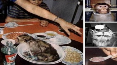 Quái dị với "thần dược" được cho là tăng sức mạnh quý ông