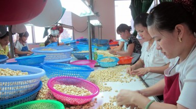  “Cai đầu dài” trong xuất khẩu