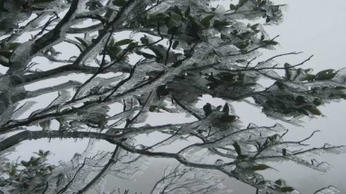 Tết dương lịch, Việt Nam có thể có tuyết