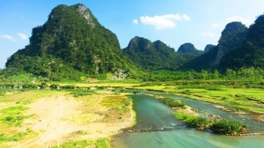 Lập dự án khẩn cấp bảo tồn voi châu Á tại Vườn quốc gia Vũ Quang