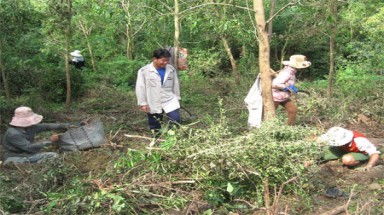 Phú Yên: Lại “băm nát” núi tìm “thần dược” xáo tam phân