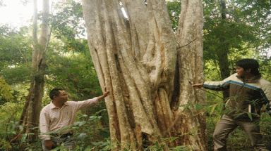 Thủy điện: “quan” thích, dân lo