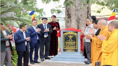 Công nhận Cây Di sản trên 300 năm tuổi tại di tích Đình, Chùa Do Nha, xã Tân Tiến, huyện An Dương, Hải Phòng