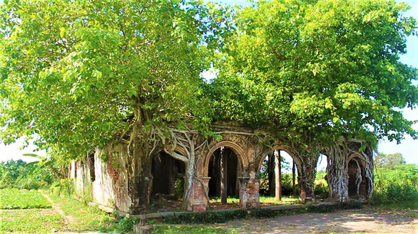 Tr&ugrave;ng[-]tu[-]ng&ocirc;i[-]đ&igrave;nh[-]hơn[-]100[-]tuổi,[-]giữ[-]nguy&ecirc;n[-]hai[-]c&acirc;y[-]bồ[-]đề[-]độc[-]đ&aacute;o[-]tr&ecirc;n[-]n&oacute;c