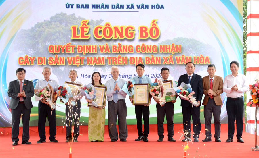 Những[-]c&acirc;y[-]Đỏ[-]đầu[-]ti&ecirc;n[-]được[-]c&ocirc;ng[-]nhận[-]C&acirc;y[-]Di[-]sản[-]Việt[-]Nam
