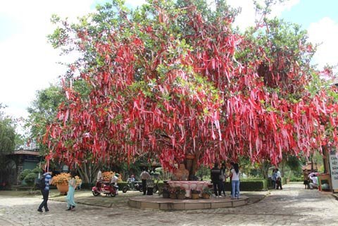 “Cây[-]tình[-]yêu”[-]rực[-]rỡ[-]với[-]hàng[-]trăm[-]hàng[-]nghìn[-]dải[-]lụa[-]hồng,[-]đỏ.[-]
