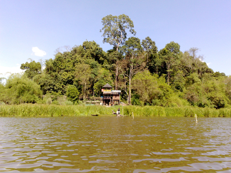 Vườn[-]quốc[-]gia[-]Cát[-]Tiên[-]đang[-]được[-]xem[-]xét[-]công[-]nhận[-]di[-]sản[-]thiên[-]nhiên[-]thế[-]giới.[-]Trong[-]ảnh:[-]Bàu[-]Sấu[-]thuộc[-]Vườn[-]quốc[-]gia[-]Cát[-]Tiên.[-]Ảnh:[-]T.L