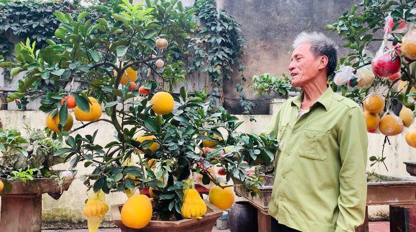 C&acirc;y[-]ngũ[-]quả[-]bon[-]sai,[-]&eacute;p[-]chữ[-]nổi[-]gi&aacute;[-]chục[-]triệu[-]vẫn[-]đắt[-]h&agrave;ng