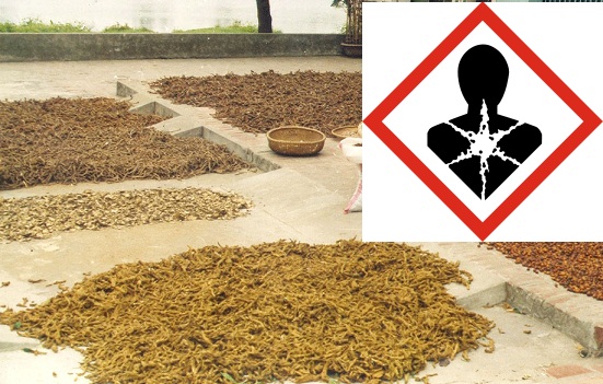 Ảnh[-]minh[-]họa