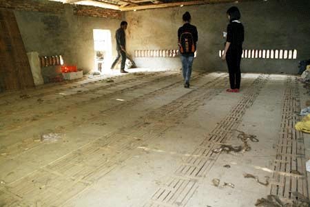 Lạnh[-]người[-]với[-]rắn[-]hổ[-]mang[-]bành[-]ở[-]Vĩnh[-]Phúc