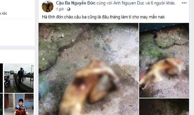 Thêm[-]vụ[-]giết[-]khỉ[-]khoe[-]Facebook[-]gây[-]phẫn[-]nộ