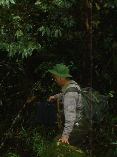 Giải[-]mã[-]bí[-]ẩn[-]loài[-]cỏ[-]trị[-]giá[-]100[-]triệu[-]đồng/kg