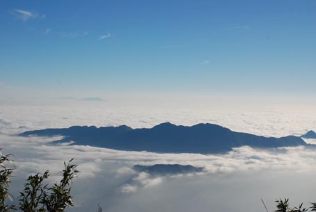 Những[-]thứ[-]đắt[-]như[-]vàng[-]ròng[-]trong[-]đại[-]ngàn[-]Hoàng[-]Liên