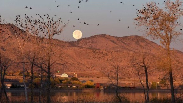 Trăng[-]sói,[-]trăng[-]tuyết,[-]trăng[-]hồng…[-]là[-]trăng[-]gì?