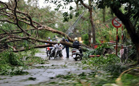 Hình[-]ảnh[-]hoang[-]tàn[-]ở[-]Thái[-]Bình,[-]khi[-]cơn[-]bão[-]quét[-]qua[-](Ảnh:[-]Tiến[-]Nguyên)