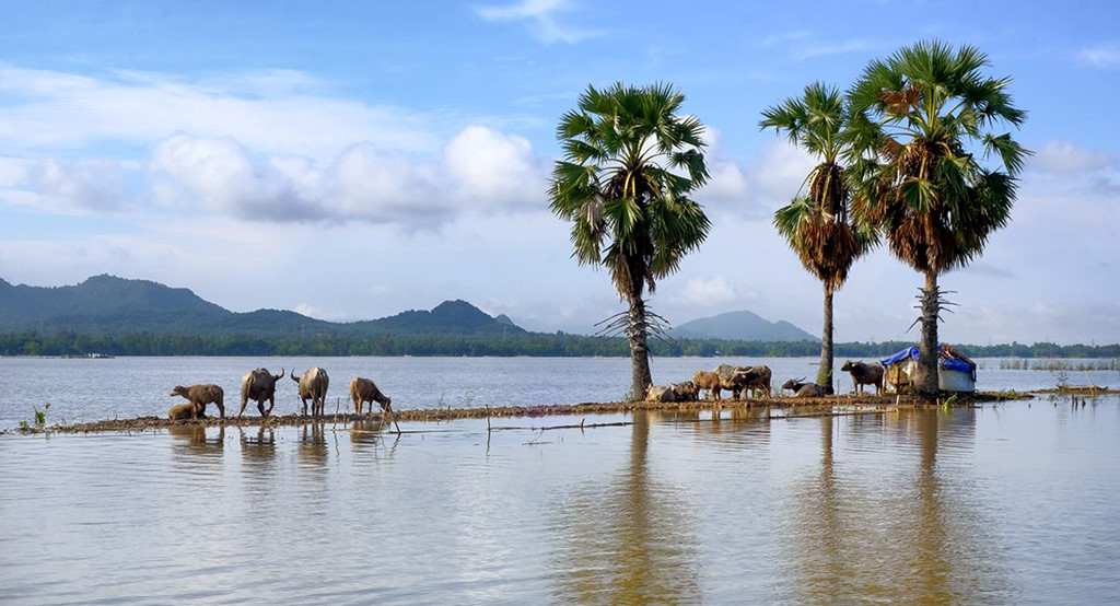 An[-]Giang,[-]nhớ[-]về[-]miền[-]thương[-]qua[-]những[-]mùa[-]nước[-]nổi
