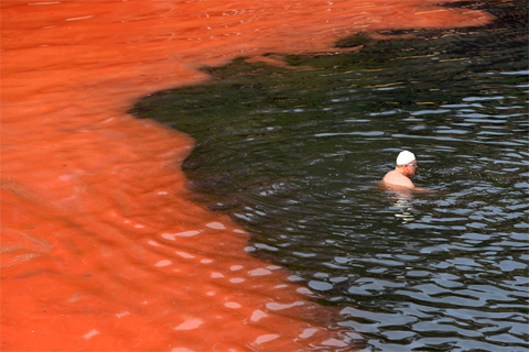 A[-]swimmer[-]stopped[-]short[-]of[-]a[-]red[-]algae[-]bloom[-]at[-]Sydney's[-]Clovelly[-]Beach[-]Nov.[-]27.[-]Some[-]beaches,[-]including[-]Bondi[-]Beach,[-]were[-]closed[-]for[-]swimming.[-]While[-]the[-]red[-]algae,[-]known[-]as[-]Noctiluca[-]scintillans[-]or[-]sea[-]sparkle,[-]has[-]no[-]toxic[-]effects,[-]it[-]can[-]cause[-]skin[-]irritation