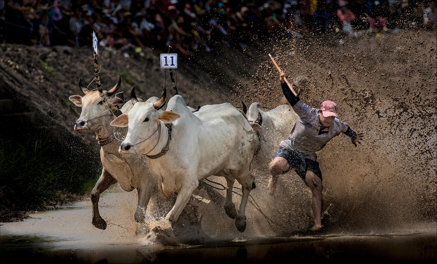 Về[-]miền[-]sông[-]nước[-]An[-]Giang