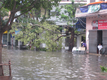 (Ảnh:[-]Vũ[-]Trọng[-]Thái)