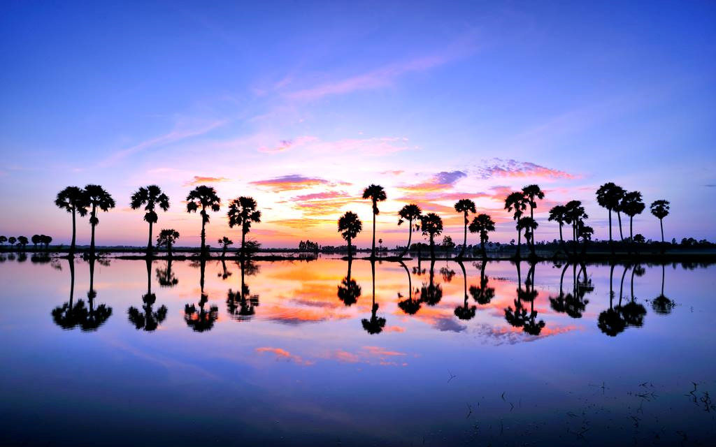 An[-]Giang,[-]nhớ[-]về[-]miền[-]thương[-]qua[-]những[-]mùa[-]nước[-]nổi