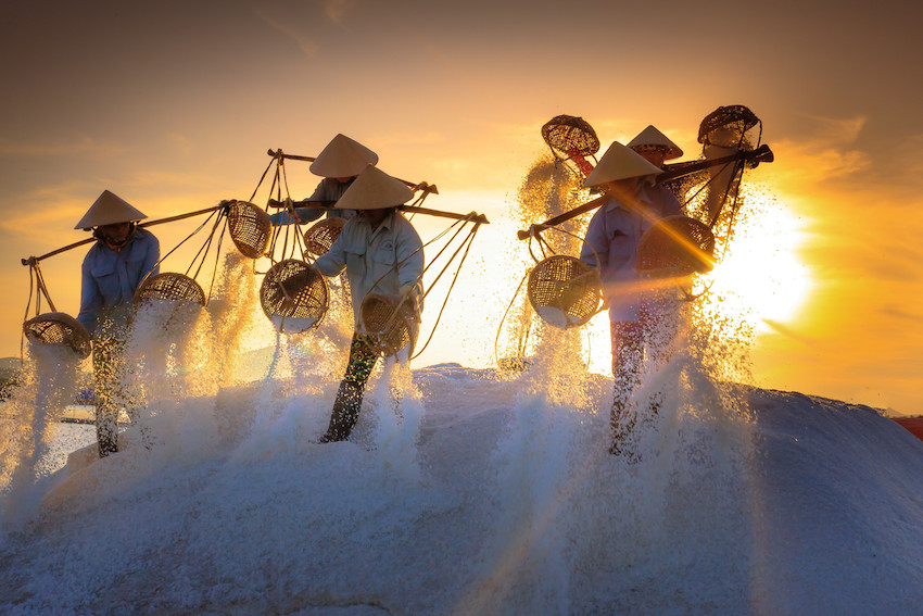 Ninh[-]Thuận[-]-Bản[-]hòa[-]tấu[-]đặc[-]sắc[-]của[-]thiên[-]nhiên[-]và[-]con[-]người
