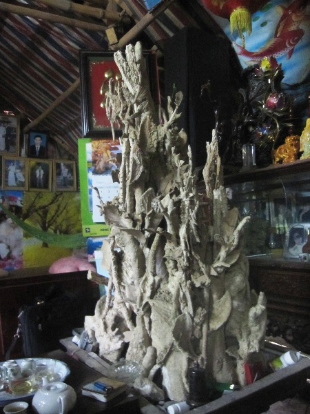 Sự[-]thật[-]về[-]cây[-]hóa[-]thạch[-]3[-]triệu[-]USD[-]ở[-]Thanh[-]Hóa