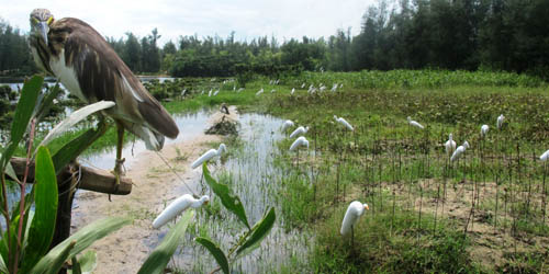 `Nghề`[-]tàn[-]sát[-]chim[-]trời[-]`ăn[-]vào[-]máu`