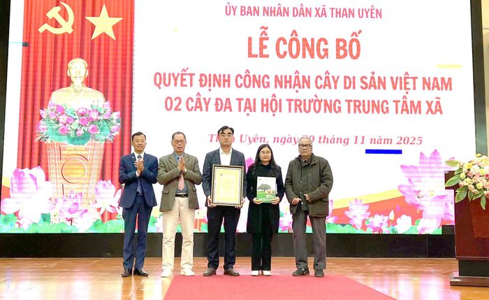 Lai[-]Ch&acirc;u:[-]2[-]c&acirc;y[-]đa[-]ở[-]x&atilde;[-]Than[-]Uy&ecirc;n[-]được[-]c&ocirc;ng[-]nhận[-]l&agrave;[-]c&acirc;y[-]di[-]sản[-]Việt[-]Nam