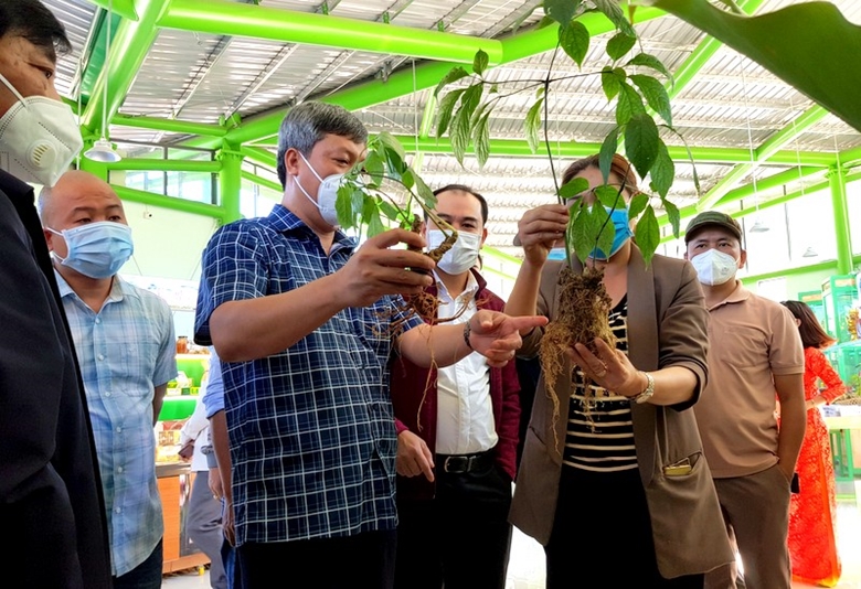 Phát[-]triển[-]du[-]lịch[-]sâm[-]và[-]cây[-]dược[-]liệu[-]ở[-]Nam[-]Trà[-]My