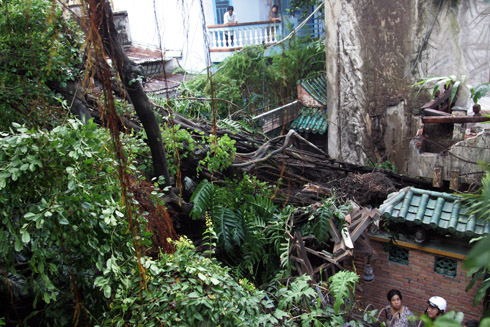 Rất[-]may[-]không[-]có[-]thương[-]vong[-]xảy[-]ra.[-]Tuy[-]nhiên[-]cây[-]si[-]trong[-]khuôn[-]viên[-]nhà[-]hàng[-]3[-]miền[-]đã[-]đè[-]hơn[-]chục[-]xe[-]máy[-]của[-]quán[-]cà[-]phê[-]đối[-]diện.