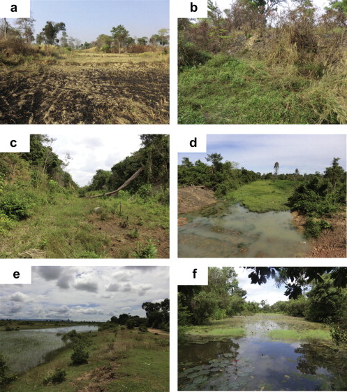 Nơi[-]từng[-]là[-]đường[-]vận[-]chuyển[-]sa[-]thạch.
