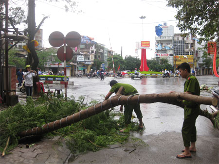Bão[-]tàn[-]phá[-]cây[-]xanh[-]ở[-]Hải[-]Phòng[-](Ảnh:[-]Vũ[-]Trọng[-]Thái)
