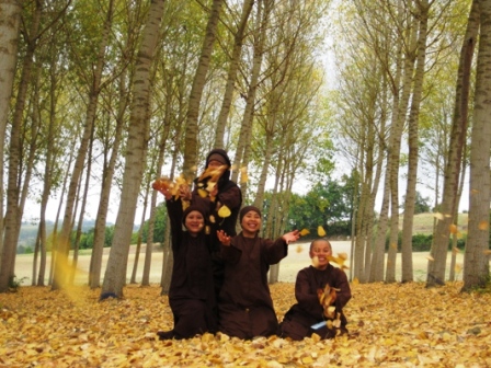 Hãy[-]sống[-]với[-]giây[-]phút[-]hiện,[-]an[-]trú[-]và[-]thảnh[-]thơi[-]để[-]có[-]một[-]cuộc[-]sống[-]an[-]lạc,[-]nhiều[-]niềm[-]vui