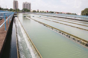 Tiếng[-]kêu[-]tuyệt[-]vọng[-]từ[-]sông[-]Đồng[-]Nai:[-]Nhiều[-]đơn[-]vị[-]lập[-]ra[-]cho[-]có![-]