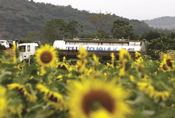 TH[-]True[-]Milk[-]liên[-]tục[-]thua[-]lỗ[-]ngàn[-]tỷ